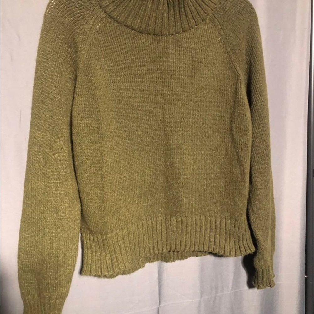 Vigoss Olive Cowl Neck Sweater